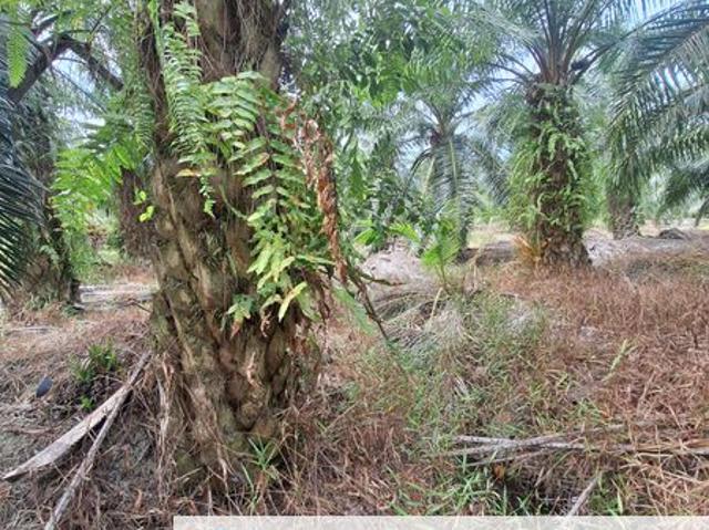 Shop for sale in Kuala Selangor, Selangor