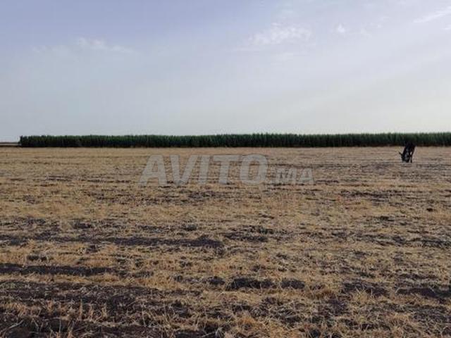 Propriété vente à Slimane, Gharb-Chrarda-Beni Hssen