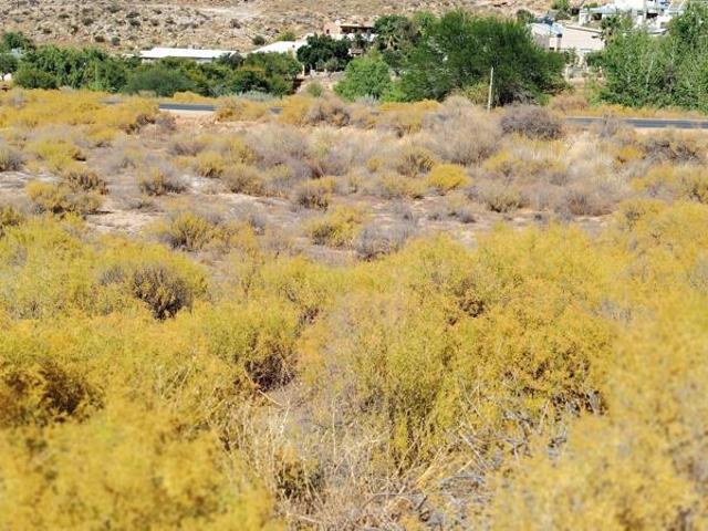 Property for sale in Kleinzee, Northern Cape