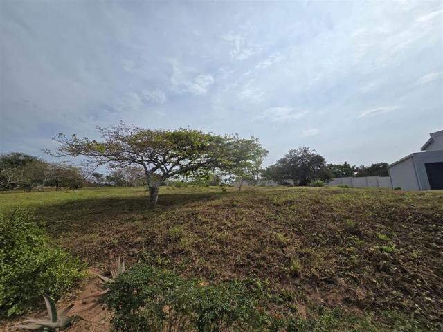 Property for sale