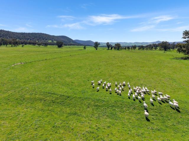 Cottage for sale in New South Wales