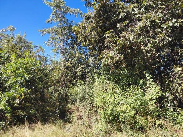 Property for sale in Ehlanzeni, Mpumalanga