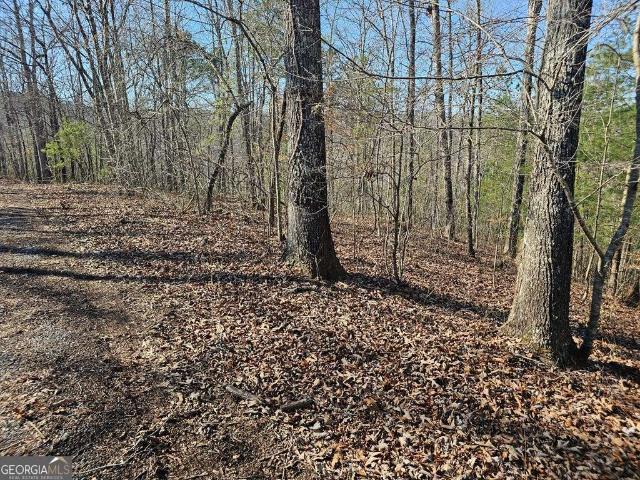 Land for sale in Pickens, Georgia