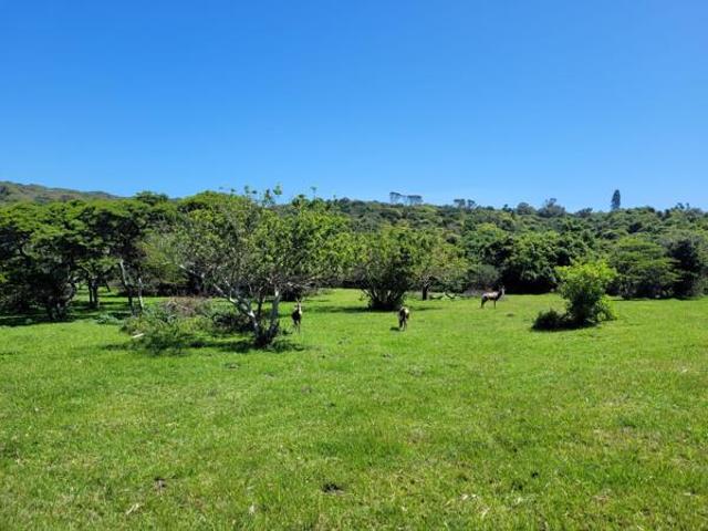 Property for sale in Bisho, Eastern Cape