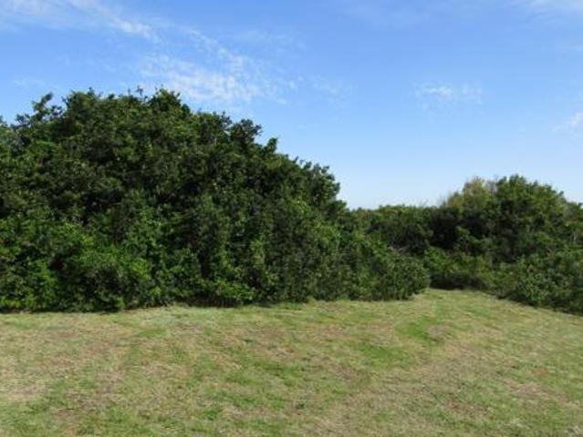 Property for sale in Cape St Francis, Eastern Cape