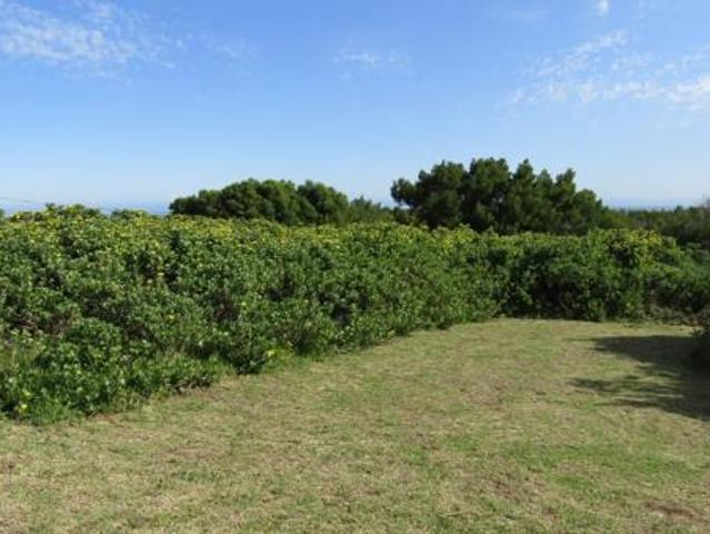 Property for sale in Cape St Francis, Eastern Cape