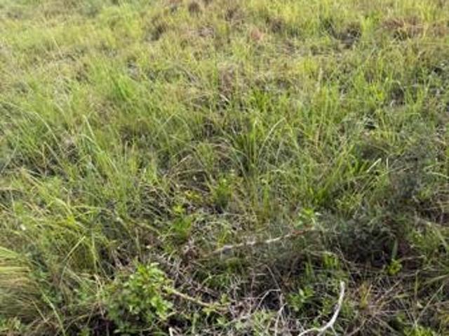 Property for sale in Vryheid, Kwazulu-natal