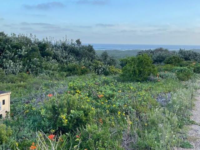 Property for sale in Bushmans River Mouth, Eastern Cape