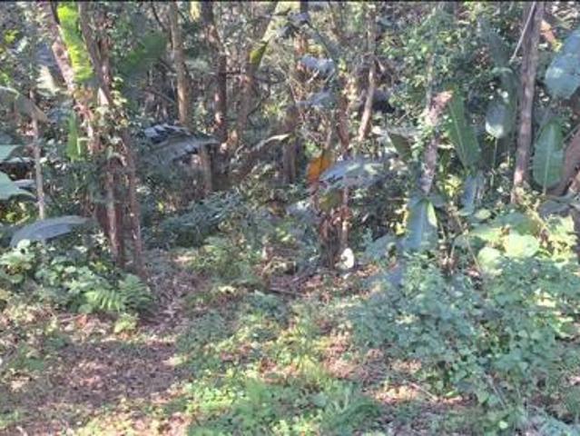 Property for sale in Ugu District Municipality, Kwazulu-natal