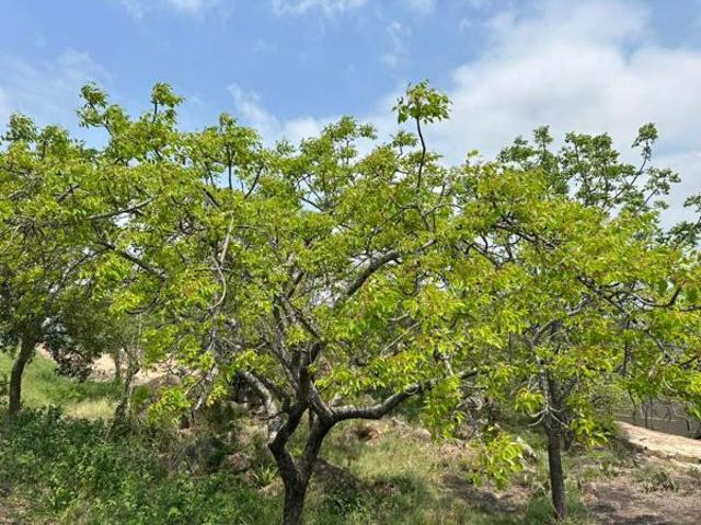 Property for sale in Ehlanzeni, Mpumalanga