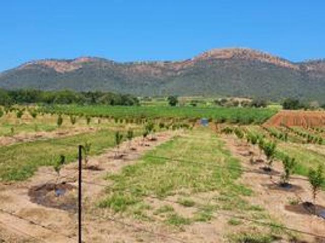 Farm for sale in Ehlanzeni, Mpumalanga