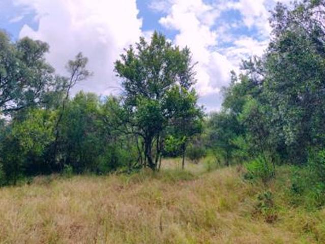 Property for sale in Limpopo
