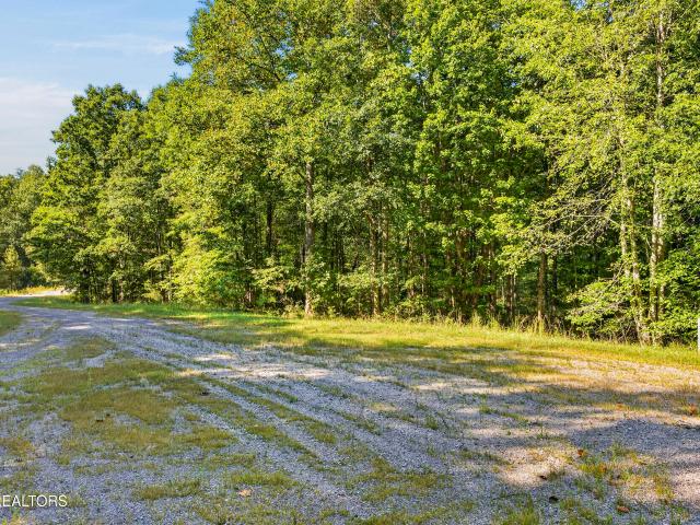 Land for sale in Monterey, East Tennessee