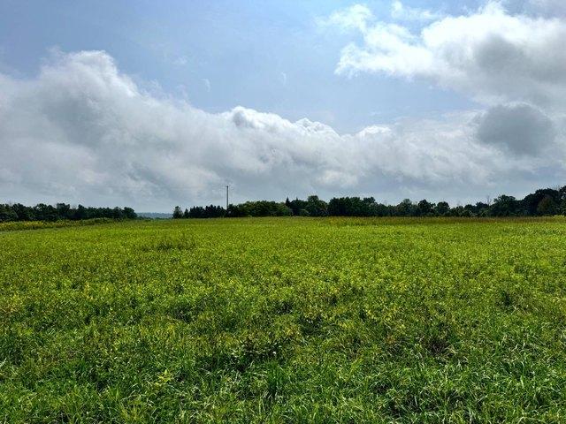 Land for sale in Richford, New York