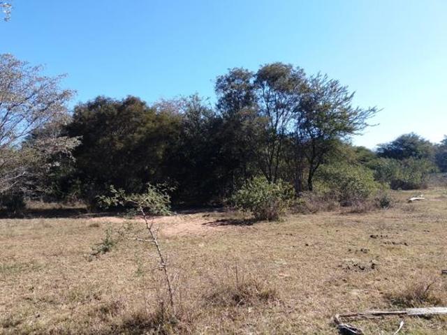 Land for sale in Limpopo