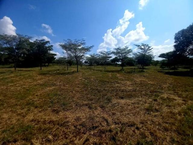 Land for sale in Limpopo