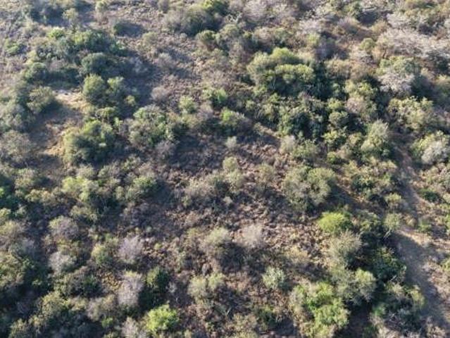 Land for sale in Limpopo