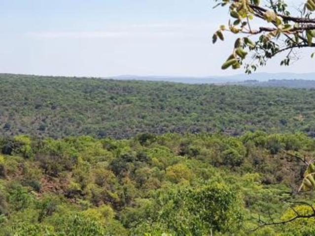 Land for sale in Limpopo
