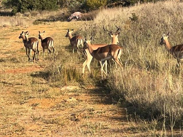 Land for sale in Waterkloof, Gauteng