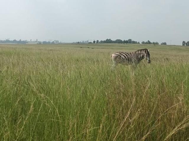 Land for sale in Witbank, Mpumalanga