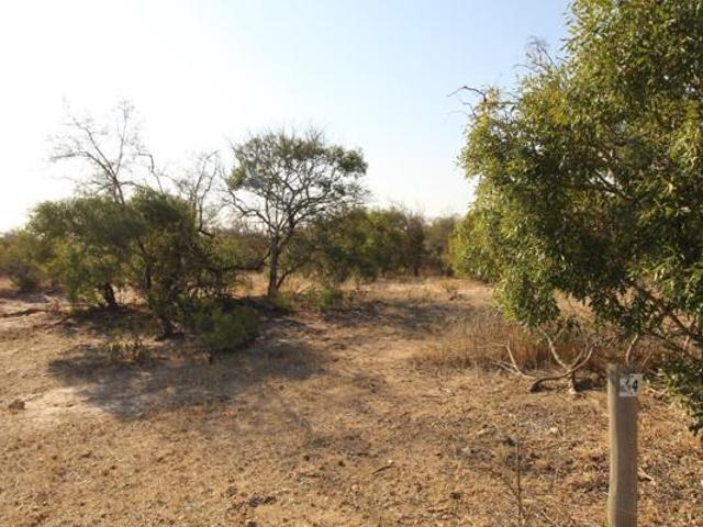 Land for sale in Mopani, Limpopo