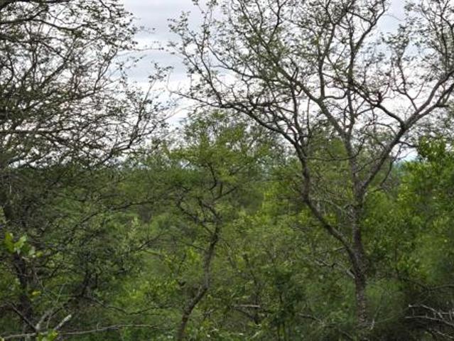 Land for sale in Mopani, Limpopo