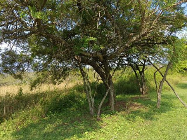 Land for sale in Ehlanzeni, Mpumalanga