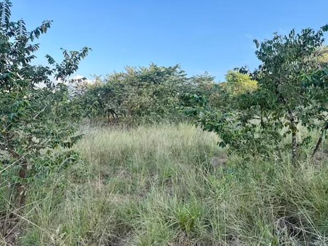 Land for sale in Ehlanzeni, Mpumalanga
