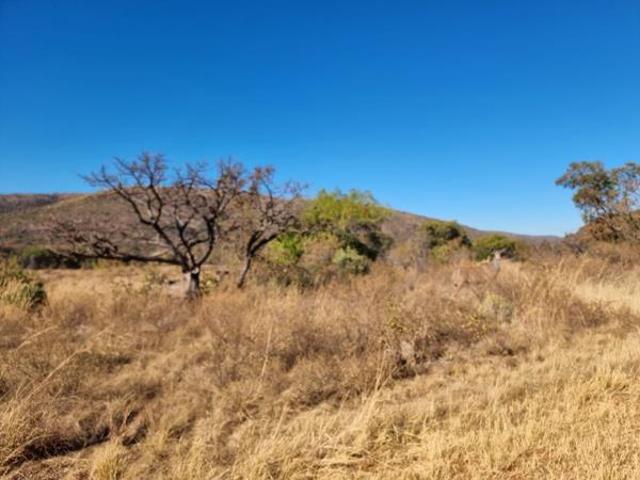 Land for sale in Limpopo