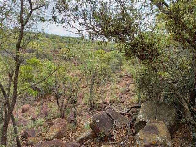 Land for sale in Limpopo