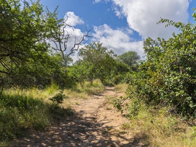 Land for sale in Mopani, Limpopo