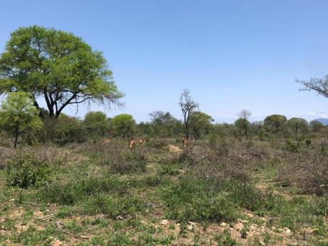 Land for sale in Mopani, Limpopo
