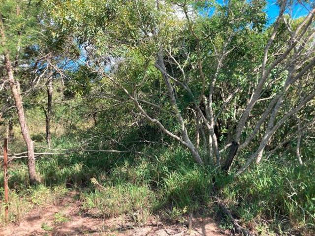 Land for sale in Mopani, Limpopo