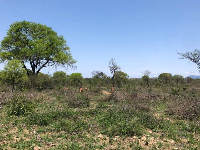 Land for sale in Mopani, Limpopo