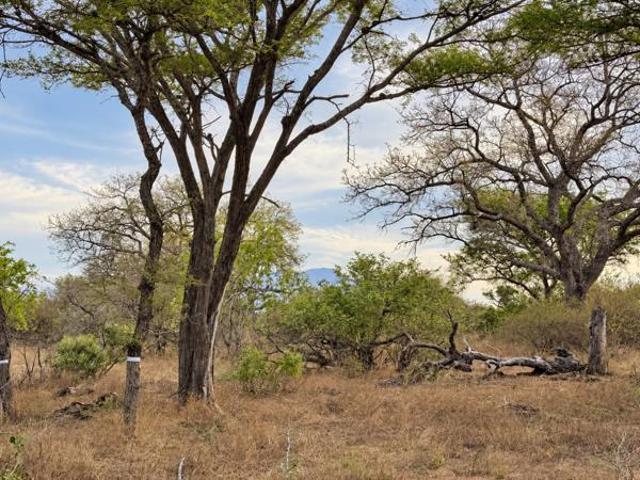Land for sale in Hoedspruit, Maruleng Local Municipality