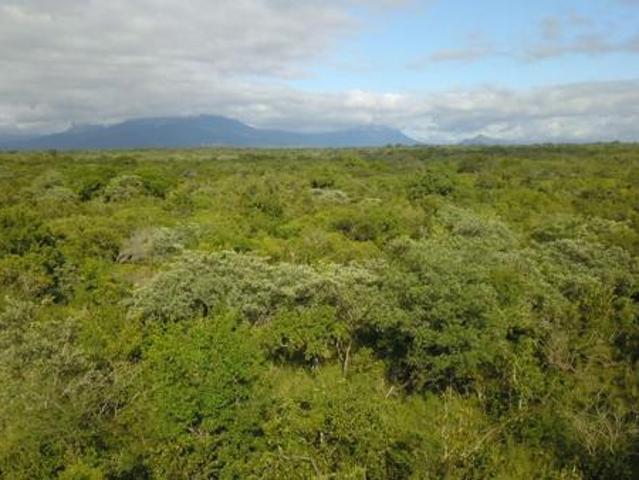 Land for sale in Mopani, Limpopo