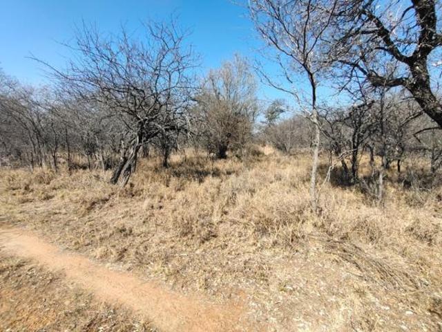 Land for sale in Limpopo