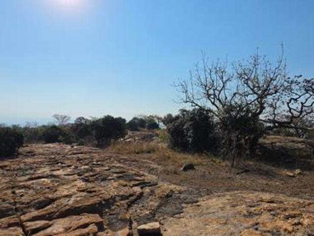 Land for sale in Ehlanzeni, Mpumalanga