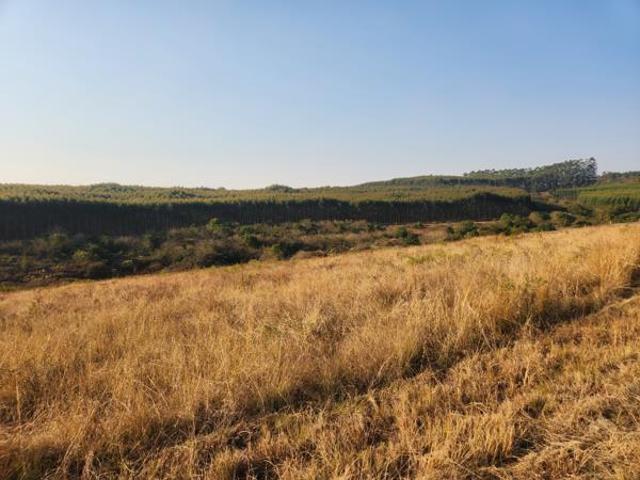 Land for sale in Ehlanzeni, Mpumalanga