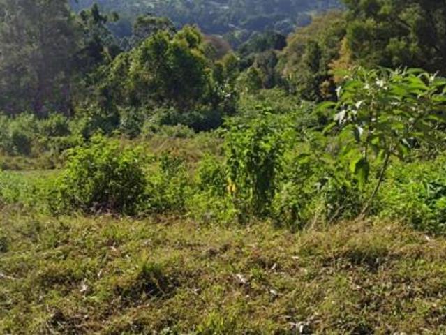 Land for sale in Kwazulu-natal