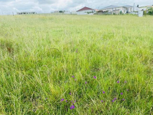 Property for sale in Amathole District Municipality, Eastern Cape