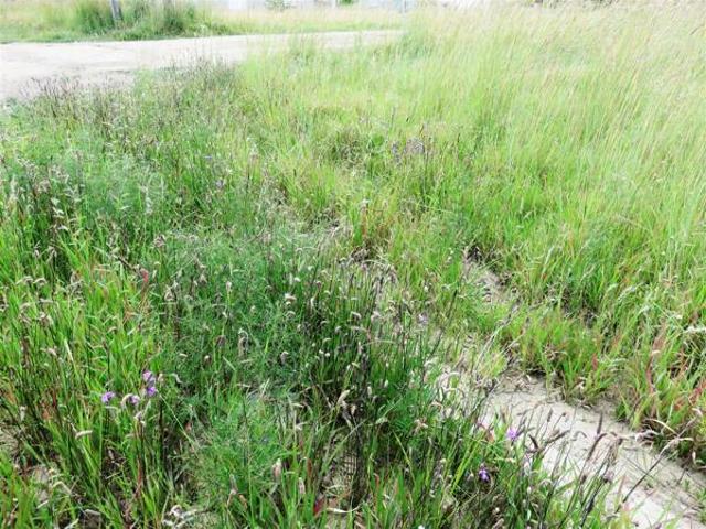Property for sale in Oranjeville, Free State