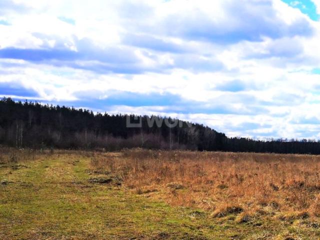 Grunt na sprzedaż w Szprotawa, Lubuskie