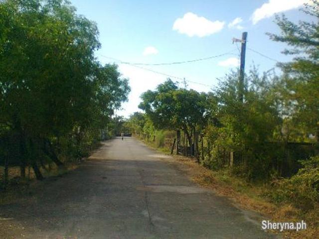 1, 200sqm BEACH LOT ZAMBALES