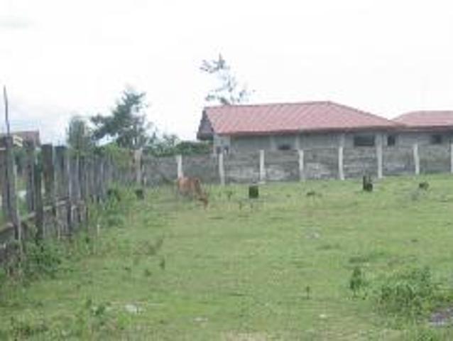 1, 200sqm BEACH LOT ZAMBALES