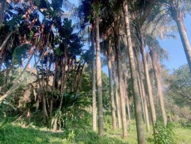 Property for sale in Princess Grant, Kwazulu-natal