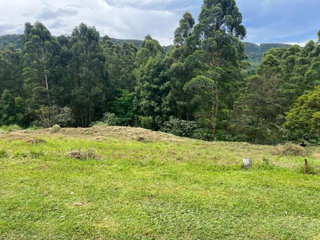 Property for sale in Umgungundlovu, Kwazulu-natal