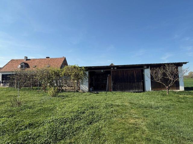 Haus kaufen in Deutsch Schützen, Burgenland