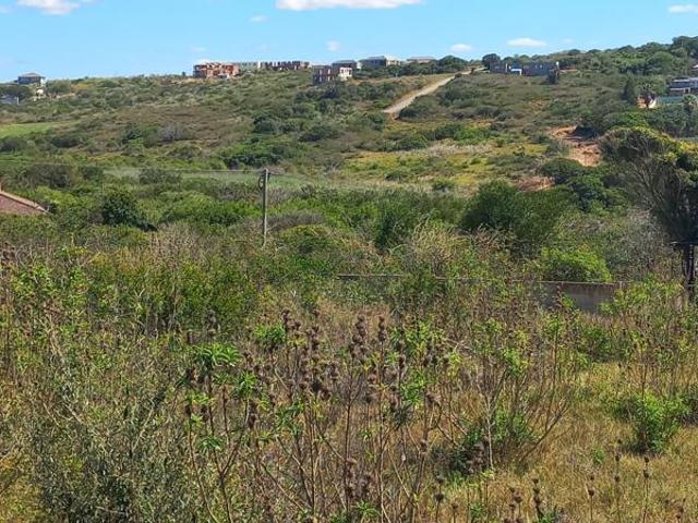 Property for sale in Bushmans River Mouth, Eastern Cape