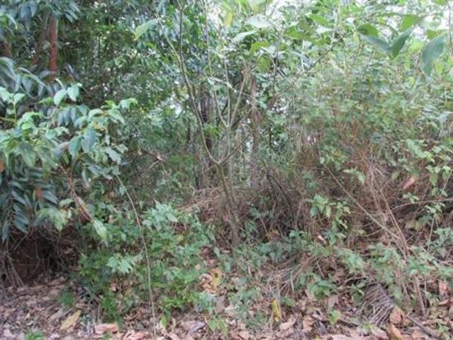 Property for sale in Ugu District Municipality, Kwazulu-natal